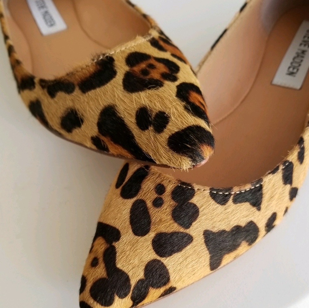 Meet your Posher, Love